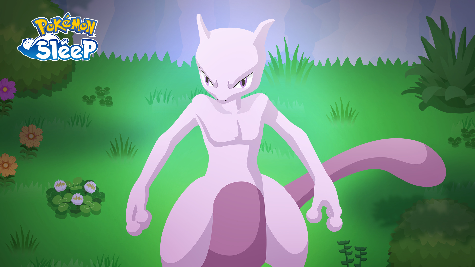 Pokémon Sleep: drugi tydzień badań nad Mewtwo już trwa — zdjęcie główne