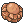 Skull Fossil