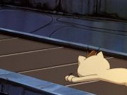 Pokemon: Zemsta Mewtwo