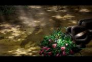 Pokemon: Rise of Darkrai
