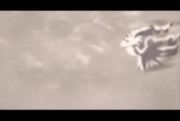 Pokemon: Rise of Darkrai