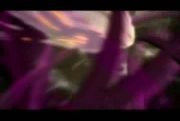 Pokemon: Rise of Darkrai