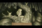 Pokemon: Rise of Darkrai