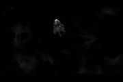 Pokemon: Rise of Darkrai