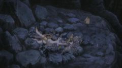 Pokémon: Arceus i Klejnot Życia