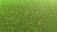 Pokémon: Arceus i Klejnot Życia