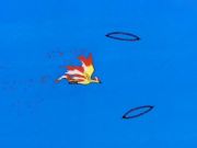 Pokemon: Uwierz w swojĂâŚ siÄšâĂâ˘