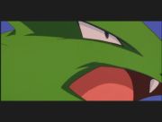 Pokemon: Celebi: Głos Lasu