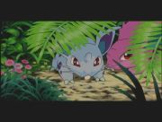 Pokemon: Celebi: Głos Lasu