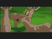 Pokemon: Celebi: Głos Lasu