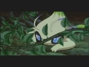 Pokemon: Celebi: Głos Lasu