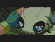 Pokemon: Celebi: Głos Lasu