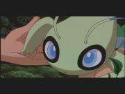 Pokemon: Celebi: Głos Lasu