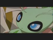 Pokemon: Celebi: Głos Lasu