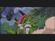 Pokemon: Celebi: Głos Lasu