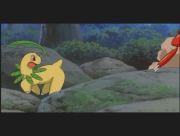 Pokemon: Celebi: Głos Lasu
