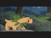 Pokemon: Celebi: Głos Lasu