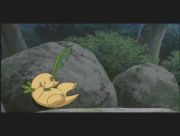 Pokemon: Celebi: Głos Lasu