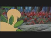 Pokemon: Celebi: Głos Lasu