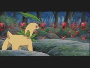 Pokemon: Celebi: Głos Lasu