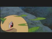 Pokemon: Celebi: Głos Lasu
