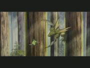 Pokemon: Celebi: Głos Lasu