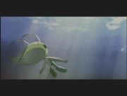 Pokemon: Celebi: Głos Lasu