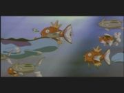 Pokemon: Celebi: Głos Lasu