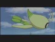 Pokemon: Celebi: Głos Lasu