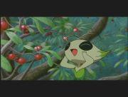 Pokemon: Celebi: Głos Lasu
