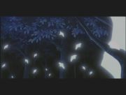 Pokemon: Celebi: Głos Lasu