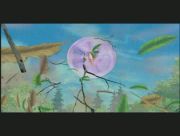 Pokemon: Celebi: Głos Lasu
