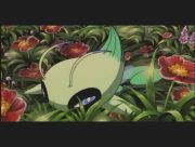 Pokemon: Celebi: Głos Lasu