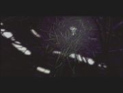 Pokemon: Celebi: Głos Lasu