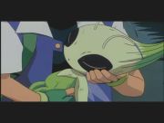 Pokemon: Celebi: Głos Lasu