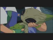 Pokemon: Celebi: Głos Lasu