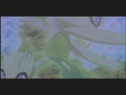 Pokemon: Celebi: Głos Lasu