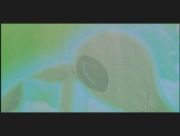 Pokemon: Celebi: Głos Lasu