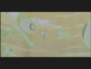 Pokemon: Celebi: Głos Lasu