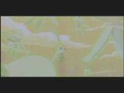 Pokemon: Celebi: Głos Lasu