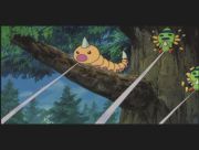 Pokemon: Celebi: Głos Lasu
