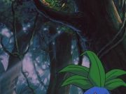Pokemon: Bohaterowie