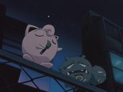 Pokemon: Bohaterowie