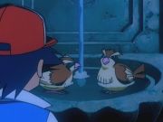 Pokemon: Bohaterowie
