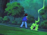 Pokemon: Bohaterowie