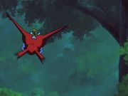 Pokemon: Bohaterowie