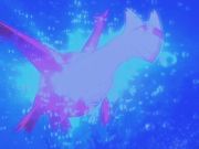 Pokemon: Bohaterowie