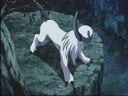 Pokemon: Spełnione Marzenia