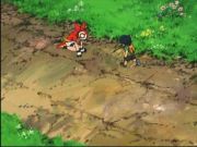 Pokemon: Spełnione Marzenia