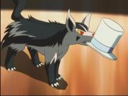 Pokemon: Spełnione Marzenia